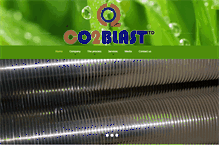 Tablet Screenshot of co2blastingservices.com